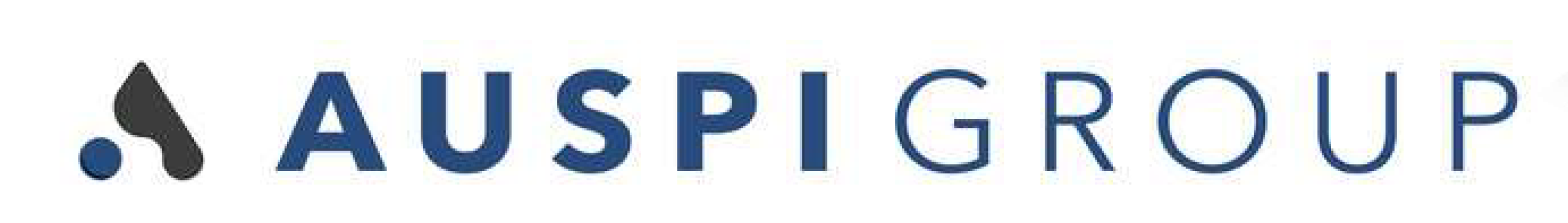 AUSPI_logo AUSPI Group logo